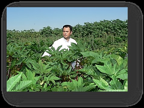 内蒙古自治区蓖麻育种与综合利用重点实验室