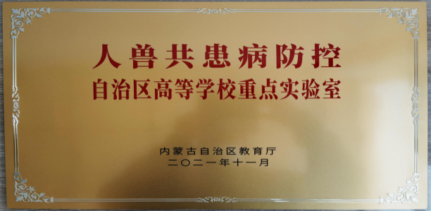 5.png 5.png